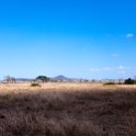 TZA MAR SerengetiNP 2016DEC24 RoadB144 005 : 2016, 2016 - African Adventures, Africa, Date, December, Eastern, Mara, Month, Places, Road B144, Serengeti National Park, Tanzania, Trips, Year
